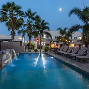 book here